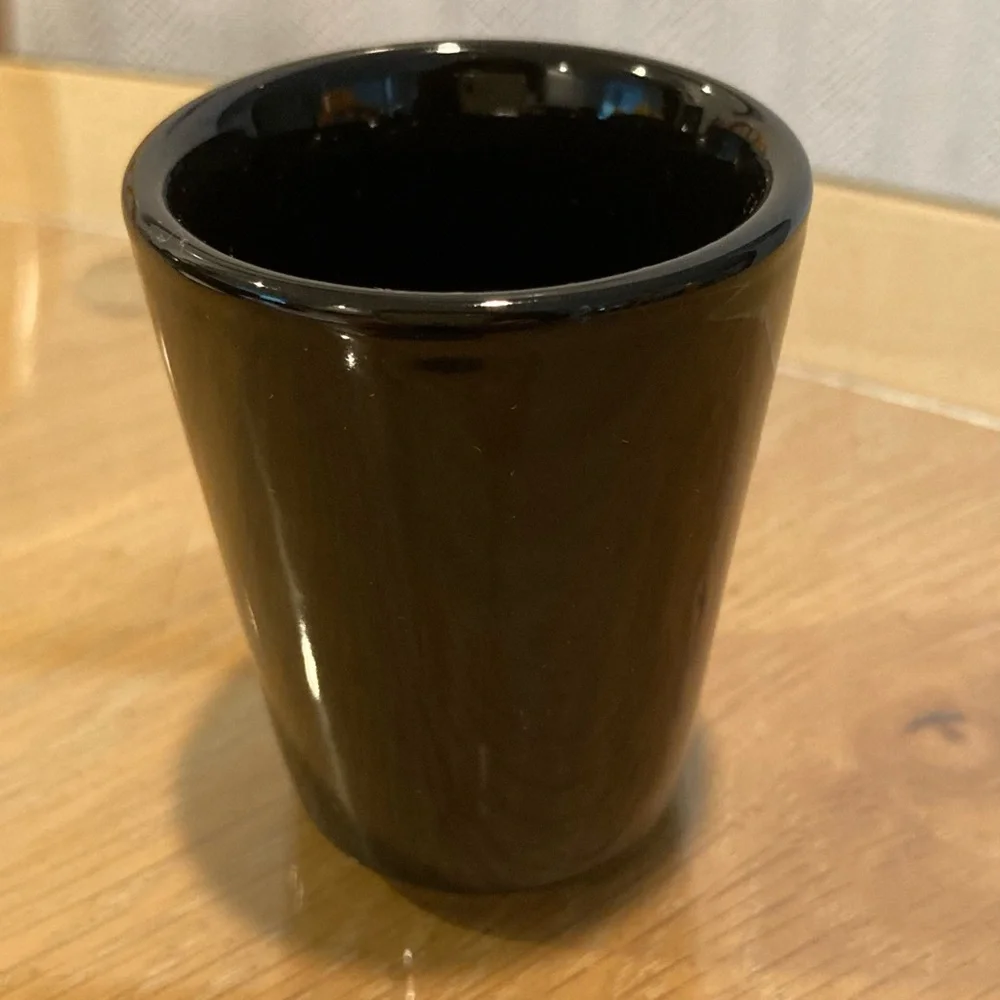 RARE Vintage Shot Glass “Got Twisted” @ Universal Studios Florida, Black, 90’s